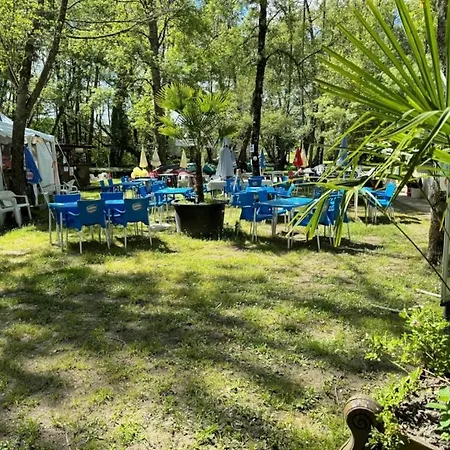 Kemping 3 Etoiles - Piscine - Ccbfifi Saint-Fort-sur-Gironde